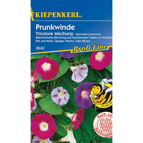 Zorele (Ipomea) Tricolore, mix multicolor Kiepenkerl imagine 1 articol 86303