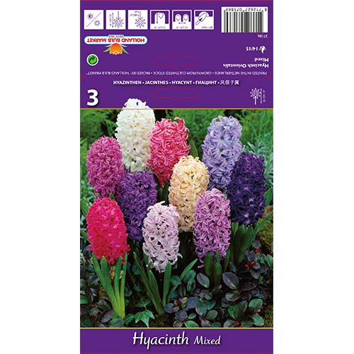 Зюмбюл Spring Palette, микс изображение 1 артикул 67598