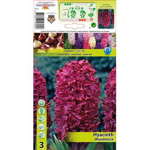 Зюмбюл Woodstock изображение 1 артикул 67584