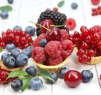 Храсти с дребни плодове