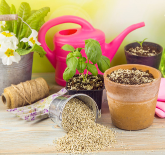 Îngrășăminte și protejarea plantelor