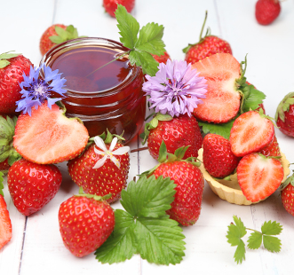 Stoloni de căpșuni