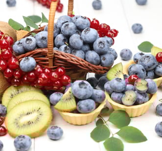 Здравна градина