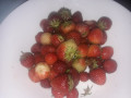 upload_img1