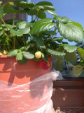 upload_img1
