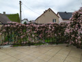 upload_img1