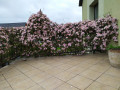 upload_img1