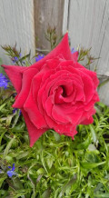 upload_img1