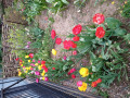 upload_img1