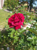 upload_img1