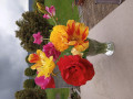 upload_img1