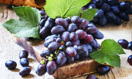 Gust bogat | GrădinaMax