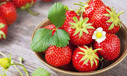 Щастие за любителите на сладко | Gradinamax