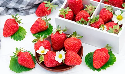 Shopping de căpșuni | GrădinaMax