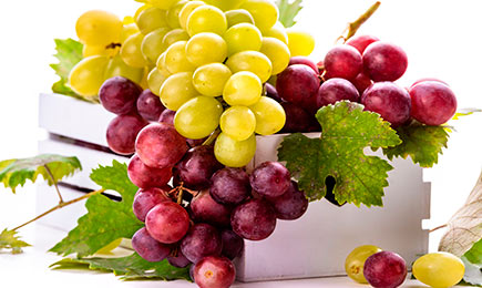 Via Ta Proprie | GrădinaMax