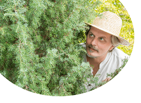 Каталог - -20% за иглолистни дървета - Gradinamax България