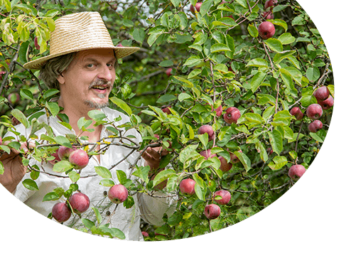 Katalog - -20% na drzewa owocowe - GradinaMax Polska