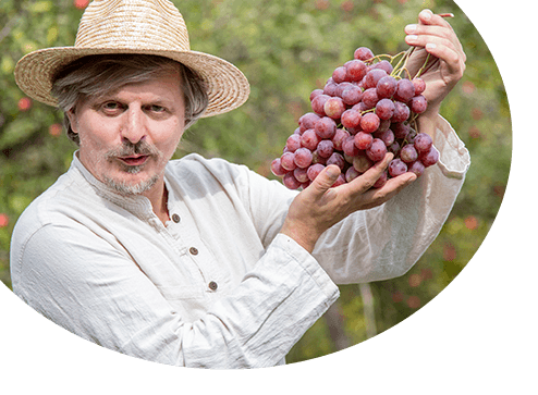 Katalog - -50% na sadzonki winorośli - GradinaMax Polska